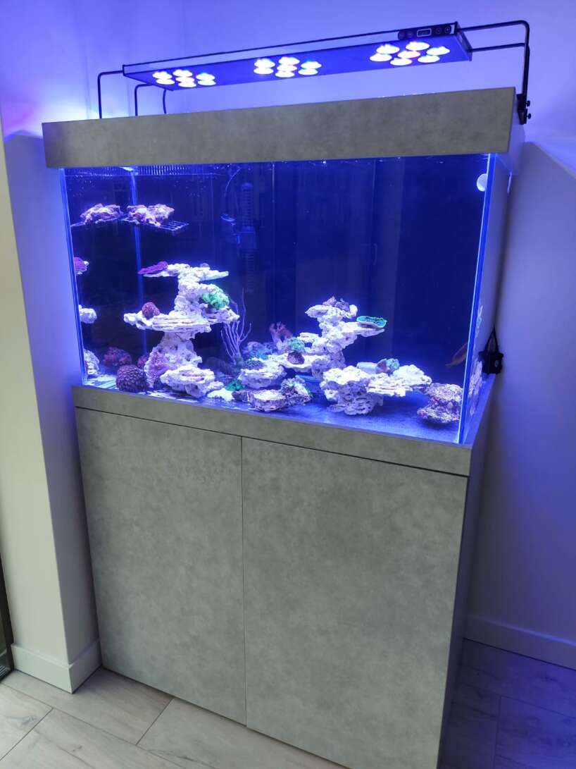 Aquarium met frame en houten ombouw nr 10 Aquaria van Wolferen